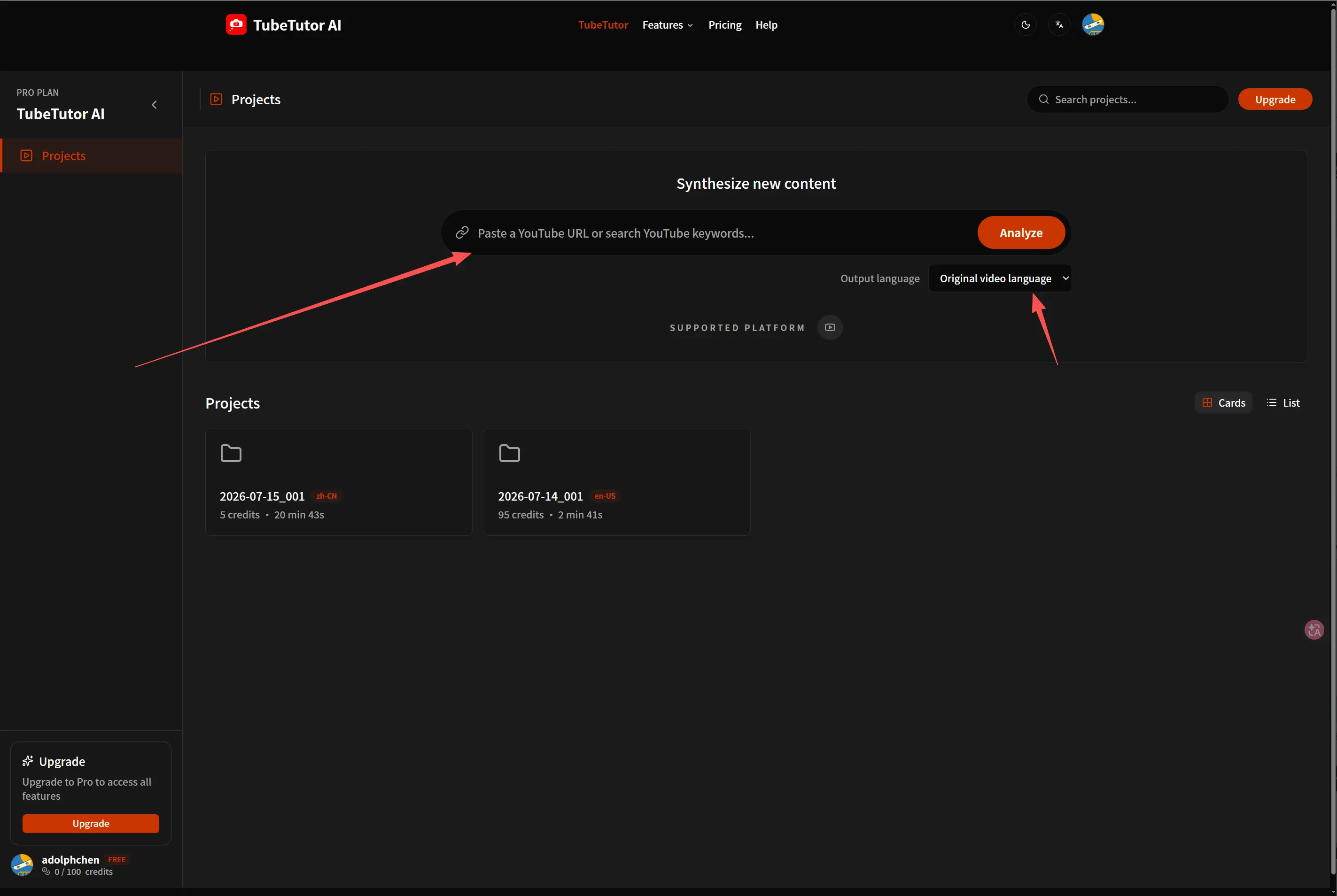 Paste the YouTube URL into TubeTutor